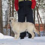 Легендарный Варяг