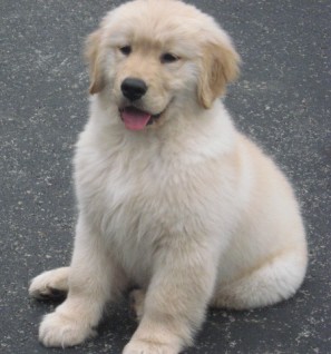 Это Мурманск ?