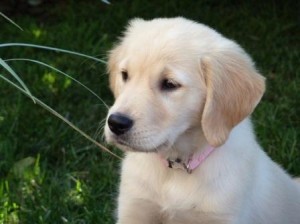 Лучший беби, Моно 12.10.13